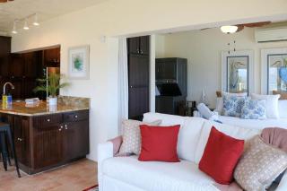 Penthouse luxury with ocean views Resort pools - 7