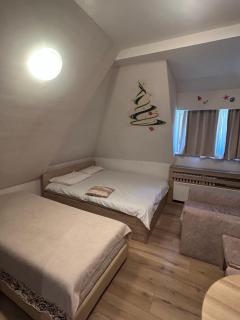 Apartmani Vrh Konaci - 3
