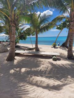 Dominica 203 Luxury Apartment by Caribbean Beach Dominicus Aqua Esmeralda - 1