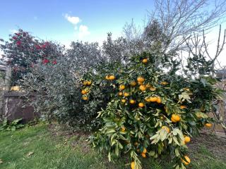 The Sweet Pea- Room 3 - 9