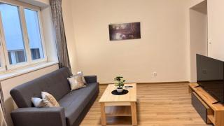 Apartmnet near IP Pavlova - Praga - 1