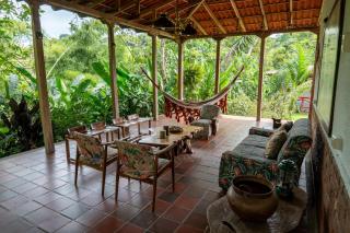 Tinamu Birding - La Manuelita - 5