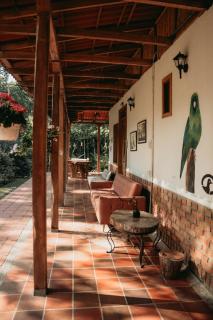 Tinamu Birding - La Manuelita - 9