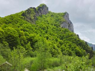 Kafe Pojana - Tropojë - 3