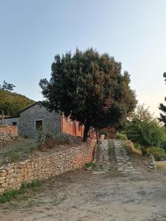 Lodge Il Capitano - 8