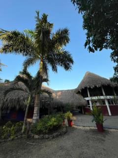 Ekoparque Lunaforest - 1