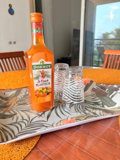 Suite Caraïbes, vue mer -  - 7