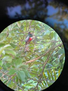 Casa Francesca Beautiful house with a large garden - Sámara - 3