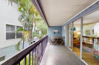 Seashell 20 - Clearwater Beach - 8