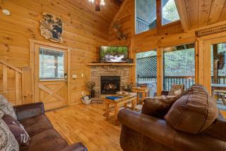 Lazy Bear Lodge by American Patriot Getaways - 4