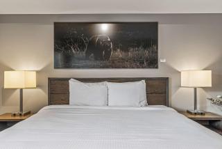 Spring Creek Condo by Canadian Rockies Vacation Rentals - 3