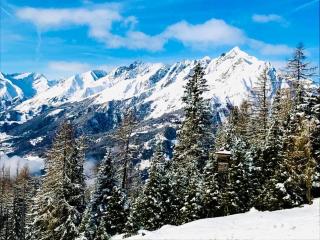 AlpinPark Chalet mit Swimmingpool, Sonnenloggia und Kamin - Großglockner Resort Kals-Matrei - 6