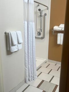 Fairfield Inn and Suites by Marriott Atlanta Suwanee - Suwanee - 1