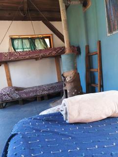 Mama Killa Neptunia Eco hostel - 5