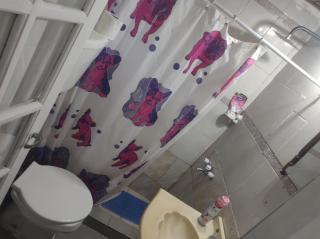 Amanecer Campestre bajo el Ceibo - 2