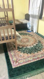 Muhammad Haseeb - 3