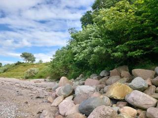 6 person holiday home in Brenderup Fyn-By Traum - Vedelshave - 8