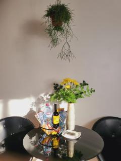 HOME Funchal Personal 2 - 5