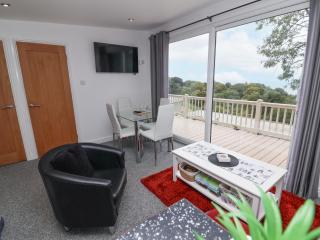 I C Lundy Too - Bideford - 7