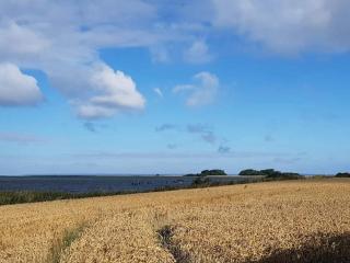 4 person holiday home in Bogense-By Traum - 2