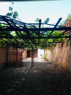 Casa Jardín - 9