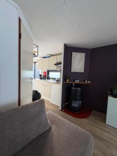Chalet Linée in bosrijke omgeving Anloo - Anloo - 8