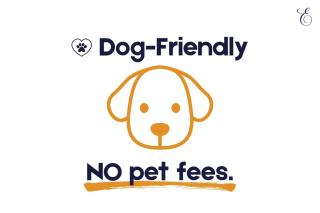 Mountain Majesty - 1