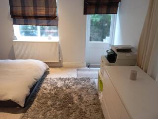 Charming garden flat - London - 3