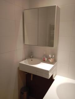 Charming garden flat - London - 2