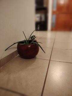 Casa con vigilancia a minutos del centro de Querétaro - - 2