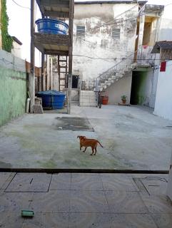 Casa Nagib - 2