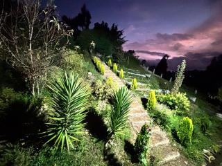 Luz de Montaña - 8