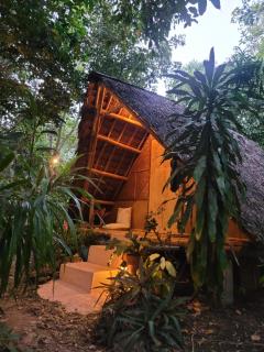 Lazy Lizard Hostel - Siquijor - 6