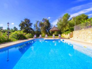 Magnificent villa with private pool - 1