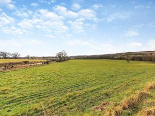 Binchester Crag Farm - 7