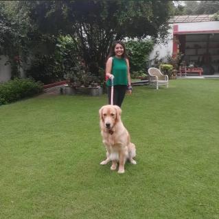 Green Serene Abode - 2