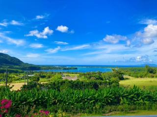 Nico House C - Vacation STAY 07511v - Kabira - 7