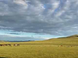 Nomado Steppe - Tuvkhun host family - Övt - 8
