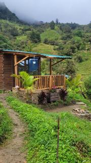 Glamping Dharma - Macanal - 8