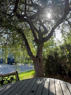 Sunny and Spacious, Hottub, Piano, Guitars, Fenced Yard, Pets Welcome, LGBT Friendly - Westminster - 7