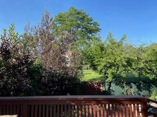 Sunny and Spacious, Hottub, Piano, Guitars, Fenced Yard, Pets Welcome, LGBT Friendly - Westminster - 4