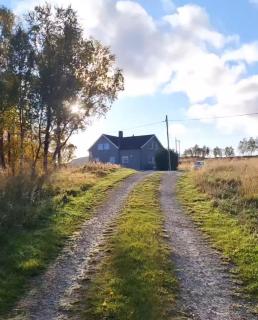 Stenli Retro Guesthouse - Bævkopp - 4