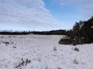 4 star holiday home in Ålbæk - 5
