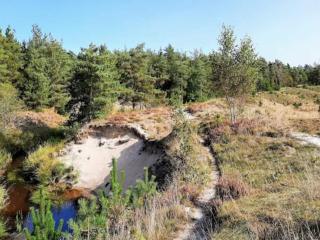 Seaside Serenity at Knasborg Beach-By Traum - 5