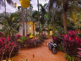 Areca Nest - Gokarna - 8