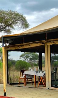 Tarangire Greenland Retreat - Kaiti - 8