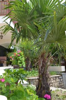 Villa Fania - 1
