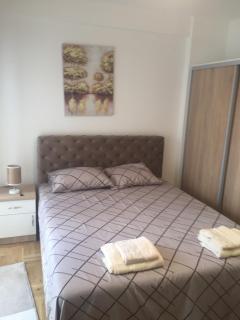 DZL - Apartman Nina - Vrnjačka Banja - 4