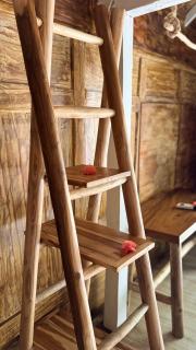 Buena Vibra Bungalows & Villa, ohia Ardi Beltza - 1