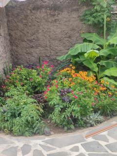 Holiday Home Сhiora - 8